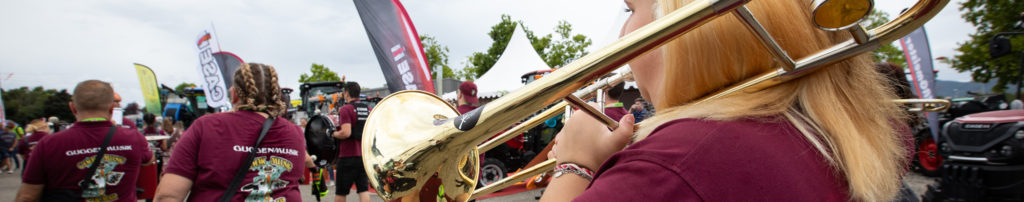 Foire aux vins D'Alsace